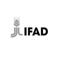 International_Fund_for_Agricultural_Development_Logo